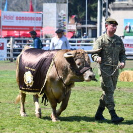 Dia 9 - Expo Prado 2021 (133)