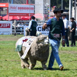 Dia 9 - Expo Prado 2021 (135)