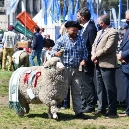 Dia 9 - Expo Prado 2021 (153)