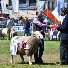 Dia 9 - Expo Prado 2021 (155)