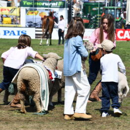 Dia 9 - Expo Prado 2021 (181)