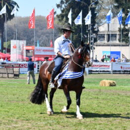 Dia 9 - Expo Prado 2021 (184)