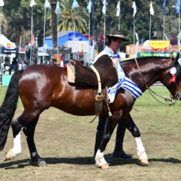 Dia 9 - Expo Prado 2021 (185)