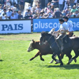 Dia 9 - Expo Prado 2021 (266)