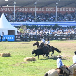 Dia 9 - Expo Prado 2021 (267)