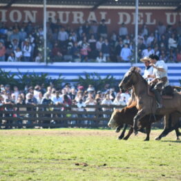 Dia 9 - Expo Prado 2021 (273)