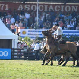 Dia 9 - Expo Prado 2021 (274)