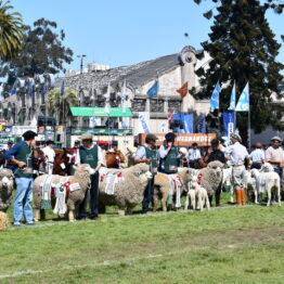 Dia 9 - Expo Prado 2021 (59)