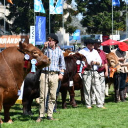 Dia 9 - Expo Prado 2021 (72)