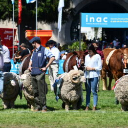 Dia 9 - Expo Prado 2021 (86)