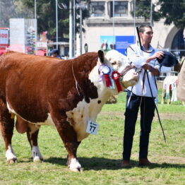 Dia 9 - Expo Prado 2021 (91)