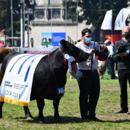 Dia 9 - Expo Prado 2021 (94)