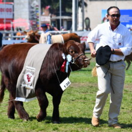 Dia 9 - Expo Prado 2021 (95)