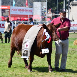 Dia 9 - Expo Prado 2021 (96)