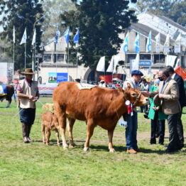 Dia 9 - Expo Prado 2021 (99)