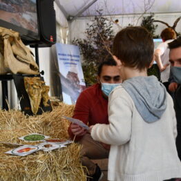 Stands Expo Prado 2021 (100)