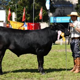 Expo Prado 2022 - Dia 5 (6)