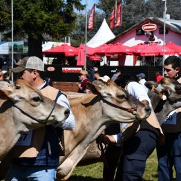 Expo Prado 2022 - Dia 7 (1)