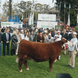 Expo Prado 2023 (11)