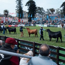 Expo Prado 2023 (132)