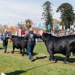 Expo Prado 2023 (162)