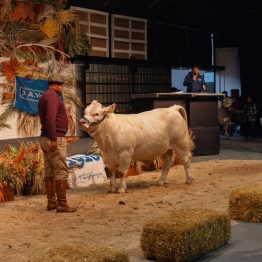 Expo Prado 2023 (164)