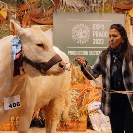 Expo Prado 2023 (165)