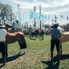 Expo Prado 2023 (18)