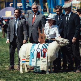Expo Prado 2023 (199)