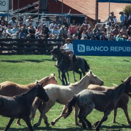 Expo Prado 2023 (204)