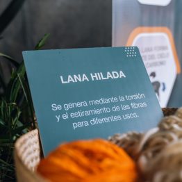 Expo Prado 2023 (227)