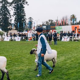 Expo Prado 2023 (229)
