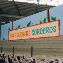 Expo Prado 2023 (234)