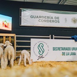 Expo Prado 2023 (243)