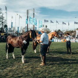 Expo Prado 2023 (26)