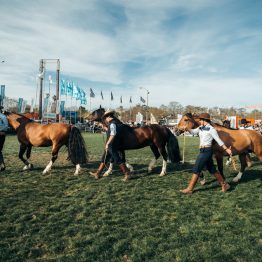 Expo Prado 2023 (27)