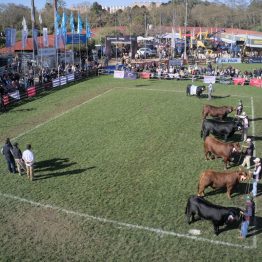 Expo Prado 2023 (3)