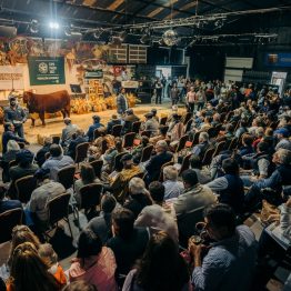 Expo Prado 2023 (32)
