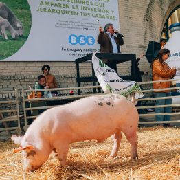 Expo Prado 2023 (34)