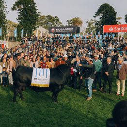 Expo Prado 2023 (38)