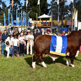 Expo Prado 2023 (43)