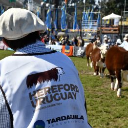 Expo Prado 2023 (44)