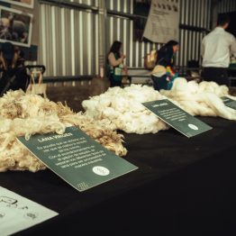 Expo Prado 2023 (59)