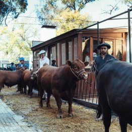 Expo Prado 2023 (65)