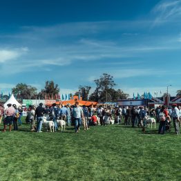 Expo Prado 2023 (76)