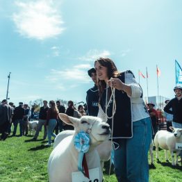 Expo Prado 2023 (81)
