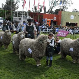 Expo Rural Prado 2024 (22)